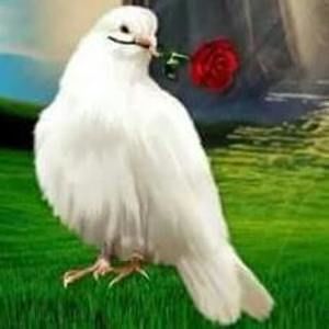 Meet your Posher, Maricela